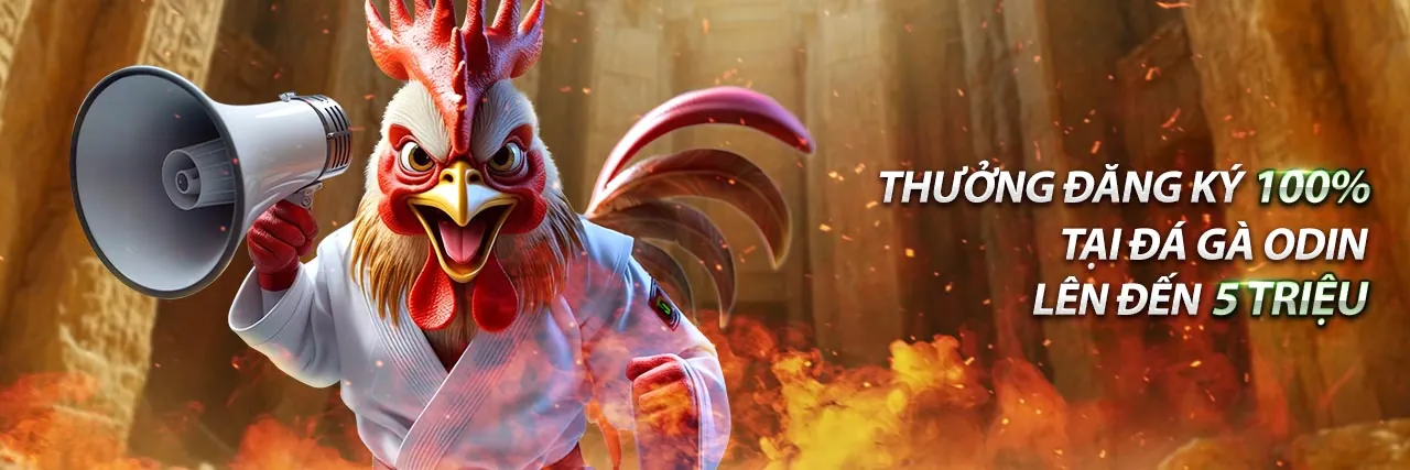 Khuyến mãi code sc88 2026 - Ưu đãi độc quyền